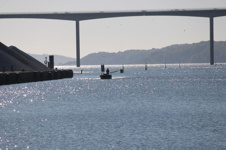 Der er flere faktorer i spil mht. Vejle Fjords tilstand.