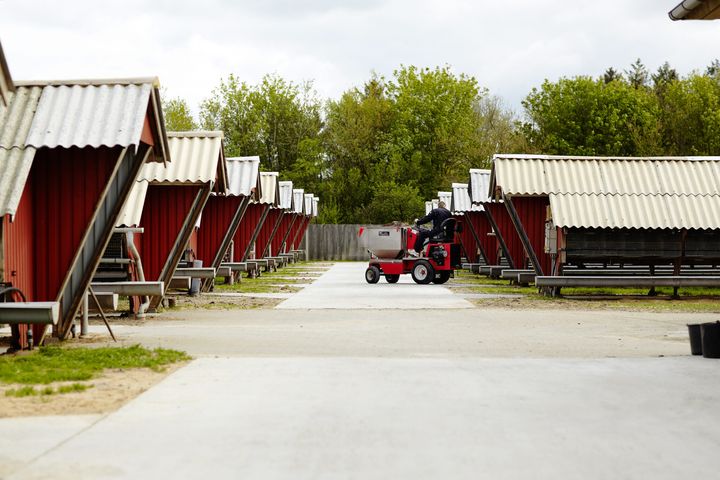 Bæredygtigt Landbrug og minkavlerne har nu fire uger til at beslutte, om dommen skal ankes til Østre Landsret.