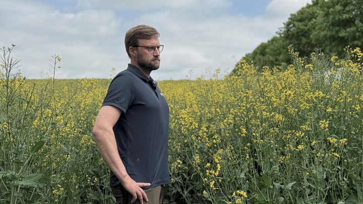 Reguleringen er for ensidig og utilstrækkeligt fagligt belyst og risikerer derfor at skade dansk fødevareproduktion uden at løse miljøproblemerne, siger Niels Hauge Mikkelsen, formand i Bæredygtigt Landbrug.