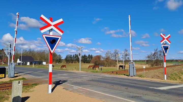 Halvbomsanlæg