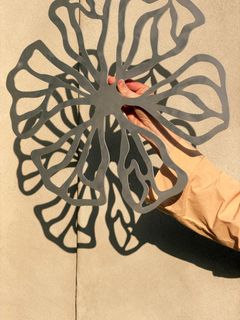 En blomst i sølv kaster skygge på en væg.