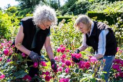 Susanne Buhl og Tove Newham, som er frivillig hos "Geografisk Haves Venner” i Geografisk Have