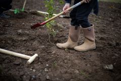 Klimaskovfonden planter træer i en ny skov, der skal ligge ved landsbyen Ejstrup vest for Kolding. Foto: Karoline Dam.
