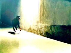 Værket Styx af Jytte Rix. 2025. Print på aluminium