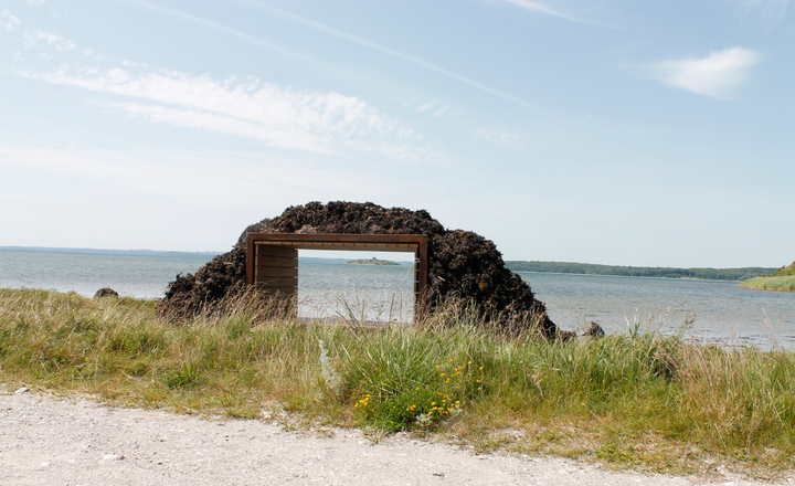 Danmarks første tangshelter ligger ved Mols Bjerge med udsigt til Kalø Slotsruin