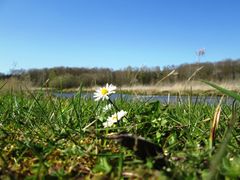 De fleste vil gerne gøre noget godt for klimaet – og mange af os allerede i fuld gang med at ændre vores vaner. Men ved du egentlig, hvad der batter mest, når du skal beslutte hvilke grønne tiltag, du skal bruge din energi på?