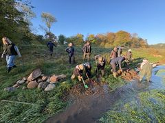 Skolebørn fra Oust Mølle Skole i fuld gang med lægge gydegrus ud i Svejstrup Bæk.