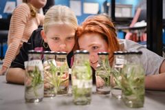 To piger kigger nysgerrigt på flasker med grønne planter i