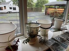 Det har regnet ind hos Gitte Kofoed siden 2018, og udlejer har sat huslejen op. Gitte har nu ventet over to år på en afgørelse i huslejenævnet i Roskilde. LLO vil have kommunerne til at styrke huslejenævnene, så ventetiden nedbringes.