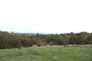 Naturnært landbrug med mennesker