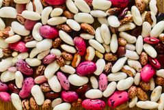 Blanding af dansk dyrkede bønner