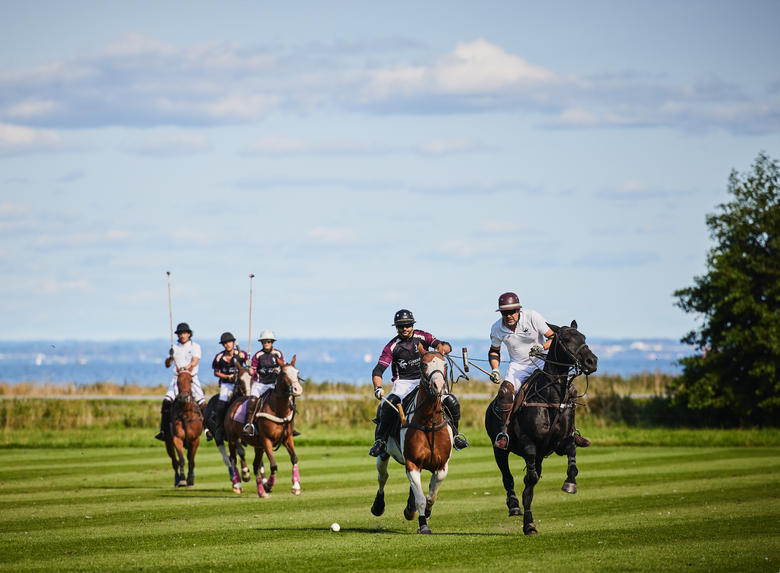 Klubbens faciliteter og omgivelser på Lyngebækgård ved Nivå er noget helt særligt