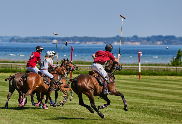 Copenhagen Polo Club udvider sit program af sports- og livsstilsevents, styrker partnerskaber og udvikler nye muligheder for sporten i Norden. Klubben er hjemsted for Danmarks landshold i polo og afholder flere årlige internationale events. Copenhagen Polo Club har base på det historiske Lyngebækgård landsted nord for København, hvor heste og spillere træner året rundt.