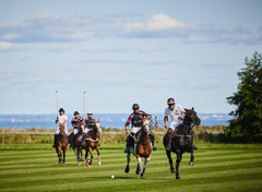 Copenhagen Polo Club is based at the historic Lyngebækgård estate north of Copenhagen, where horses and players train year-round. It is home to Denmark’s national polo team, competes in tournaments across Europe, and hosts several international events each year.