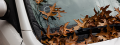 Hvid bil med brune efterårsblade og p-skive inde i bilen