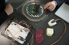 Det tysk-danske Interreg-projekt PRECISE har udviklet en elektronisk næse, der skal kunne bestemme friskheden af kød og fisk objektivt og i realtid. Foto: Maximilian Specht