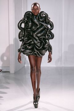 Søslangekjolen leder tankerne hen på historien fra det antikke Grækenland om krigsgudinden Athene,der sendte to søslanger efter Laokoön og hans to sønner. Designeren Iris van Herpen ville også gengive den følelse man har, lige inden man springer. Capriole betyder ‘legende hop’.
Det kan være et spring fra 10-metervippen ned i vandet. Eller den tilstand, man som designer oplever lige inden et kreativ spring.
Iris van Herpen beskriver det som om ”…al min mentale energi er samlet, og jeg har det som om mit hoved slanger sig igennem tusindvis af krumninger”.
Kjolen er lavet af akrylplader der vrider sig rundt om kroppen.

Materialer: Akryl, tekstil, polyamid