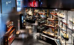 Ships on parade, M/S Museet for Søfart