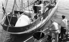 Fyrskib nr. 17, GEDSER REV, set fra SS ARGUS_Nationalmuseet.jpg Årstal ukendt.