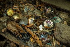 Lommeure af mærket ’Orbin’ - en urmager i det sene 18 århundrede. Det har været en kostbar last, og et stort tab for de mennesker, der forgæves ventede på at de skulle komme i havn. Fundet om bord på et uidentificeret vrag med tilnavnet ”Porcelænsskibet”.