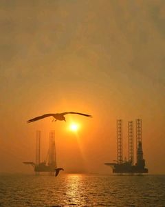 Titel: 'Naturen, når den er bedst! Lokation: På havet. Fotograferet Rohan Anil Rane, 2023. Fotografiet indgår i udstillingen Life at Sea på M/S Museet for Søfart. Alle fotos stammer fra ITF Seafarers' Trust's digitale billedarkiv.