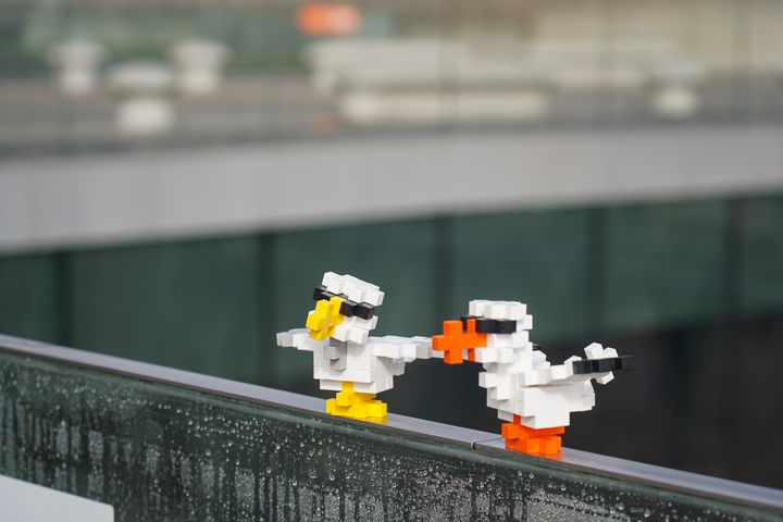 Havmåger på vej til påskeferiens Plus-Plus workshop på M/S Museet for Søfart