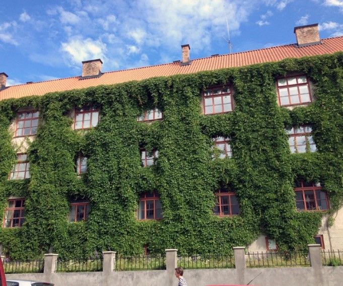 Alle bygningsejere kan få tilskud til grønne planter til gavl og facade