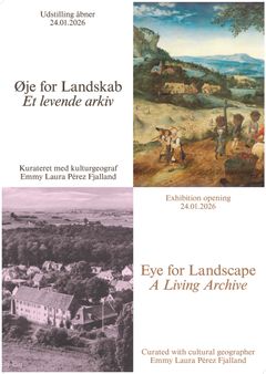 Plakat, øje for landskab