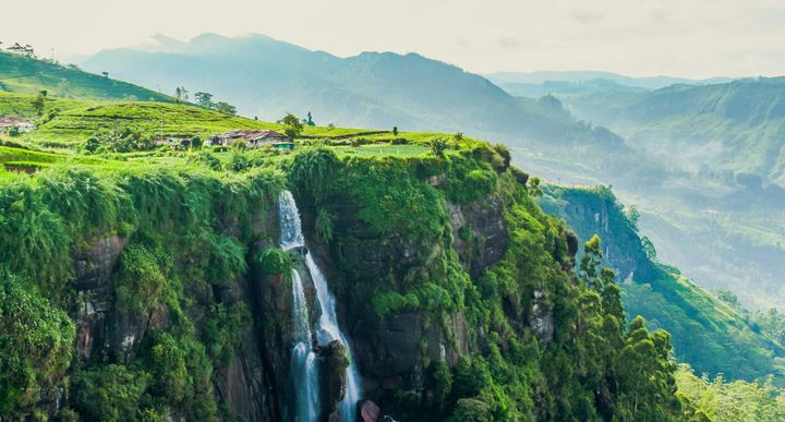 Sri Lanka lokker med frodig natur, kultur, et rigt dyreliv og lave priser