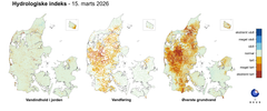 Tre Danmarkskort, der viser den aktuelle tilstand for jordvand (venstre), vandføring i vandløb (midten) og terrænnært grundvand (højre) sammenlignet med det normale niveau for årstiden baseret på 30 års data (1991-2020). Farveskalaen går fra ekstremt vådt (mørkeblå) over råhvid (normal) til ekstremt tørt (mørkerødt). Kortet for grundvand er relativt rødt mod vest (tørrere end normalt for årstiden), mens kortet for jordvand er mest råhvidt (normalt for årstiden) og kort for vandføring i vandløb mange steder er lidt rødt (lidt tørrere end normalt for årstiden).