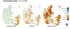 Tre Danmarkskort, der viser den aktuelle tilstand for jordvand (venstre), vandføring i vandløb (midten) og terrænnært grundvand (højre) sammenlignet med det normale niveau for årstiden baseret på 30 års data (1991-2020). Farveskalaen går fra ekstremt vådt (mørkeblå) over råhvid (normal) til ekstremt tørt (mørkerødt). Kortet for grundvand er relativt rødt mod vest (tørrere end normalt for årstiden), mens kortet for jordvand er mest råhvidt (normalt for årstiden) og kort for vandføring i vandløb mange steder er lidt rødt (lidt tørrere end normalt for årstiden).