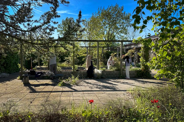 Havefællesskabet i Byens Haver er et eksempel på de fællesskaber, som Havehuset skal understøtte og videreudvikle. Byens Haver skal være Roskildes grønne bydel, hvor sundhed og livskvalitet skabes i mødet mellem mennesker, natur og nær velfærd.