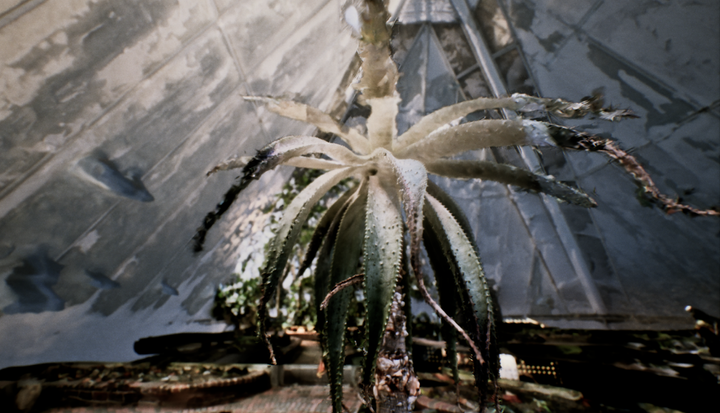 Jakob Kudsk Steensen is creating a living, immersive world beneath Oulu city centre, where memories of past local landscapes converge with the de-extinction seed vault of the Oulu Botanical Garden.