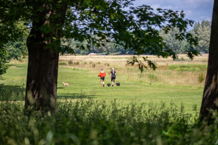 Billedet forestiller to kvinder, der går tur med en hund ved Damhussøen