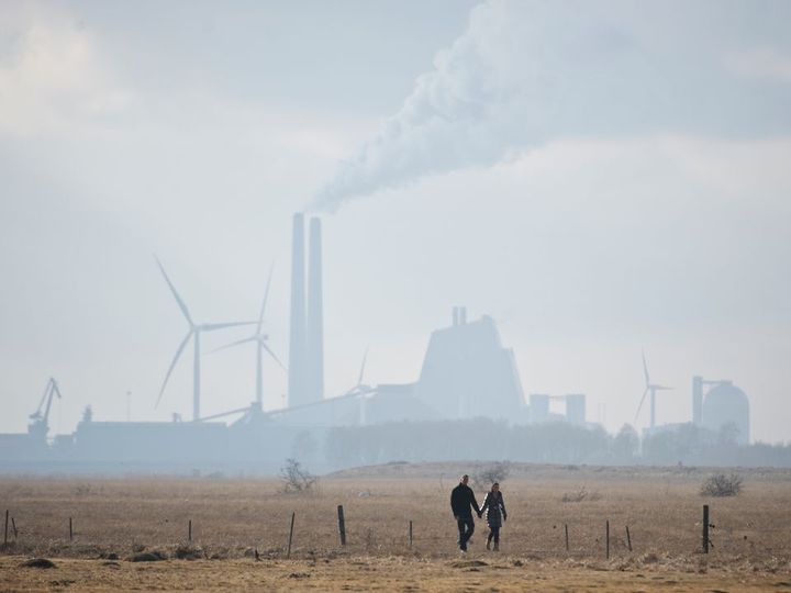 Billdet forestiller Kalvebod Fælled med et par, der går tur