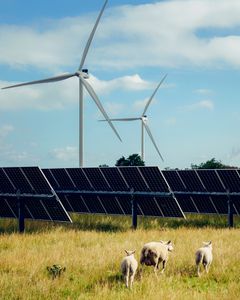 Eurowind Energy hybridpark med vindmøller og solceller