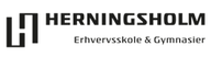 Herningsholm Erhvervsskole & Gymnasier