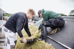 Der er et grønt generationsskifte på vej, hvor de unge, der er på vej ind i fagene, får en helt central rolle.