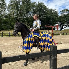 Ridder til hest