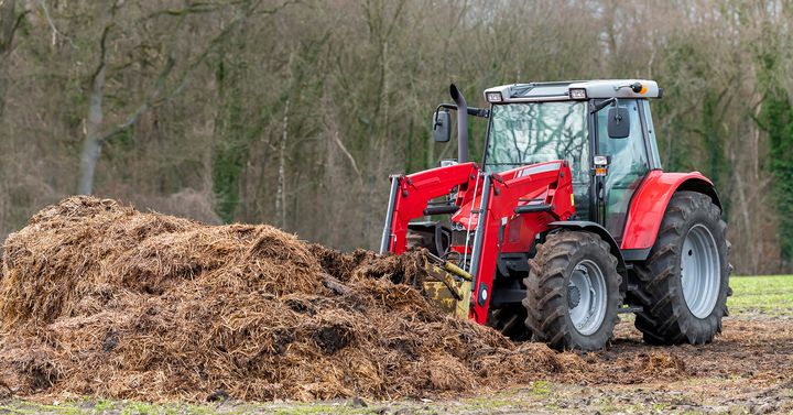 Traktor flytter gødningsstak på landbrug