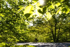 Cyklister i lysningen på supercykelstien Farumruten