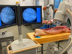 Et laboratoriebillede, der viser røntgenudstyr og monitorer bruges til at scanne kød til 3D-afbildninger.