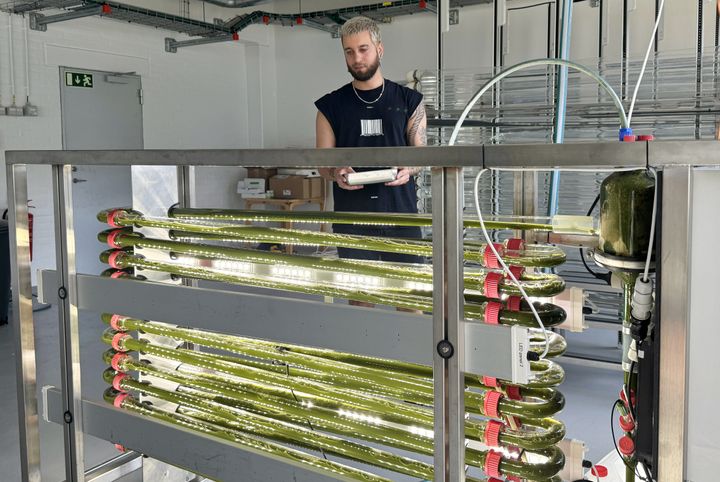 Mikroalger kan producere cirka 20 gange mere protein per hektar end soja. Forskning tyder på, at vi kan optimere proteinproduktionen ved at dyrke algerne i rummet, siger Nikola Medic, mikroalgespecialist på Teknologisk Institut.