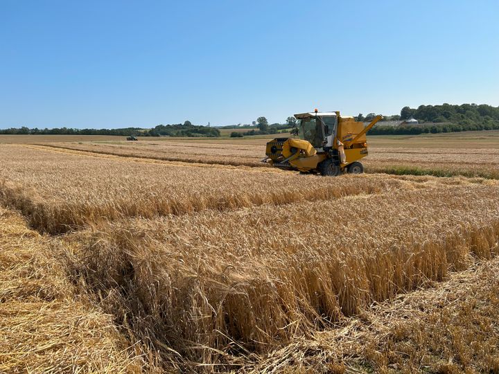 Projektet Landmandsdrevet Innovation skal gennem to år opbygge et netværk, hvor landmændene selv er drivkraft for idégenerering og afprøvning af nye bæredygtige dyrkningsmetoder og -teknologier.