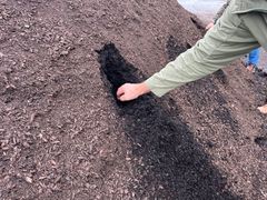 Nye vækstsubstrater baseret på lokal biomasse viser sig at kunne erstatte mindst halvdelen af spagnummet ved dyrkning af planter som kalanchoe, jordbær og buddleja.
