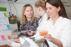 Målgruppen er erfarne fagfolk og iværksættere, der ønsker at skabe mere bæredygtighed og innovation i fødevaresektoren.