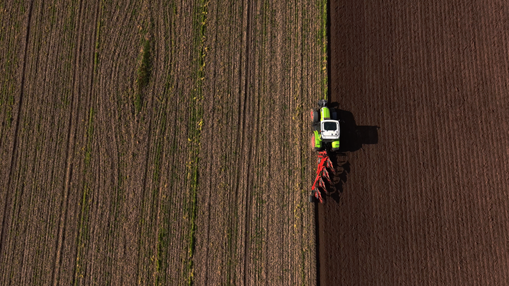 Forskerne har analyseret fire forskellige strategier for håndtering af halm og afgrøderester. En af strategierne går ud på at fjerne halvdelen af resterne og pløje den resterende del ned i jorden. Foto: Teknologisk Institut.