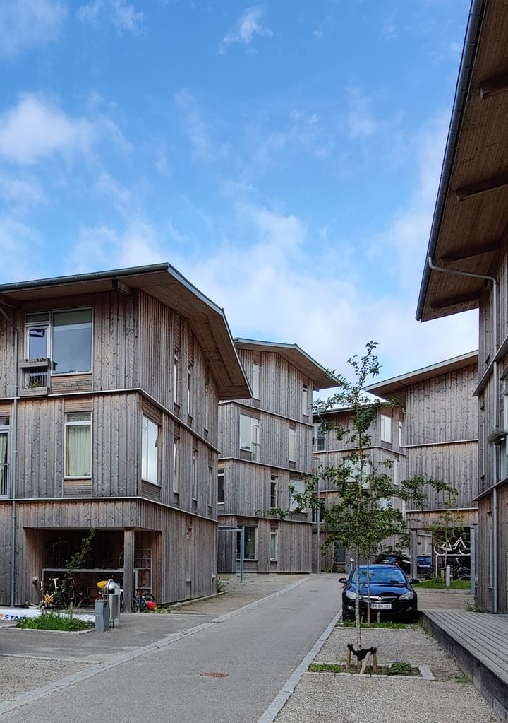 Rapporten peger særligt på fire områder, hvor en målrettet indsats kan gøre det mere attraktivt at bygge højt i træ: brand, lyd/akustik, fugt og vidensdeling. Her ses byggeriet Lisbjerg Bakke, nord for Aarhus.