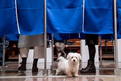 Danskerne skal stemme til Europaparlamentsvalget søndag 9. juni. (Foto: Mads Claus Rasmussen/Ritzau Scanpix/TV 2)