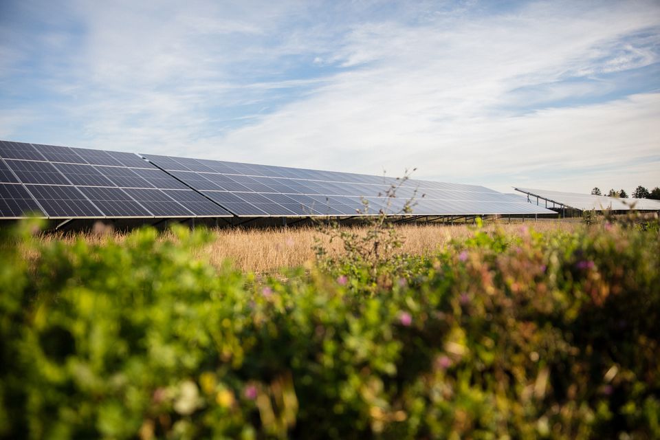 Better Energy styrker direktionen med ny Chief Operating Officer og ...